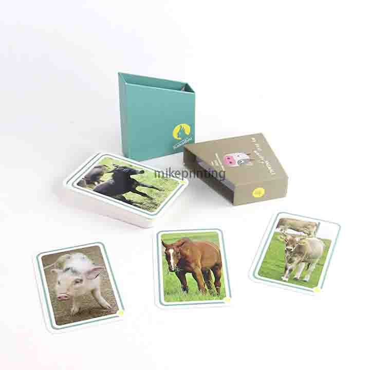 Children Learning Animal Paper 